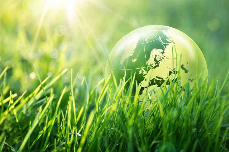 © Romolo Tavani - Fotolia.com Glaskugel im Gras