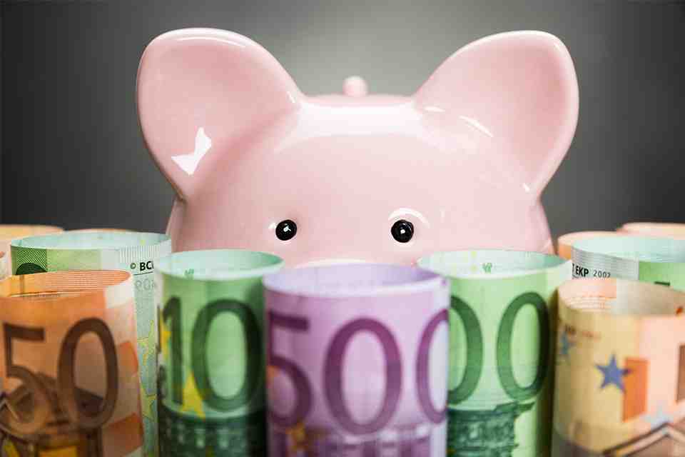 © Andrey Popov - stock.adobe.com Geldscheine und Sparschwein