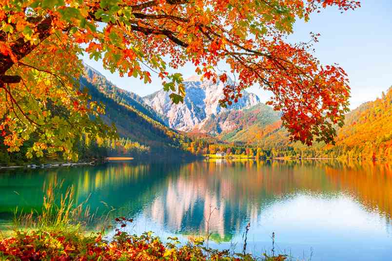© smallredgirl - stock.adobe.com Gelbe Herbstbäume am Ufer eines Sees