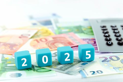 2025 Jahreszahl als Würfel vor Geldscheinen