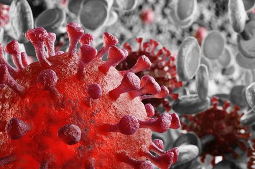 Virus